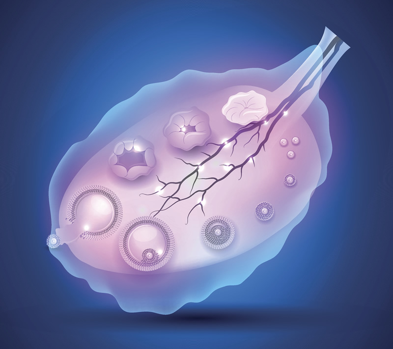 吉尔吉斯斯坦试管指南，一位助孕顾问的真心话与避坑锦囊